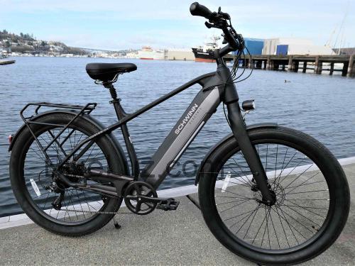 Schwinn Coston ficha tecnica 